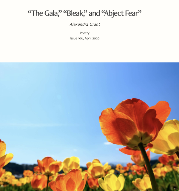 Poetry: The Gala, Bleak, Abject Fear — Photo by Kouji Tsuru on Unsplash
