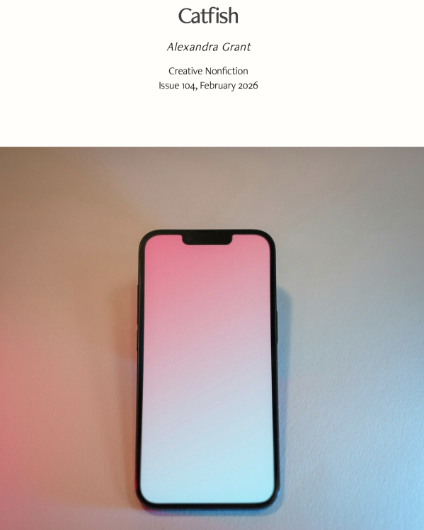 Catfish — Photo by Jakub Żerdzicki on Unsplash