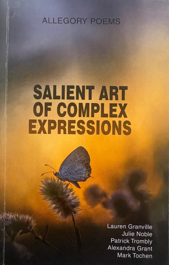 Book cover — Salient Art Of Complex Expressions